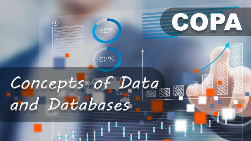 Concepts of Data and Databases